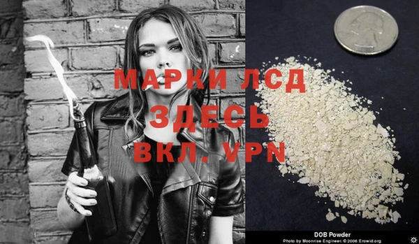 spice Богданович