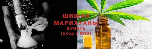 spice Богданович